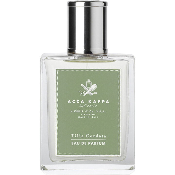 Tilia Cordata