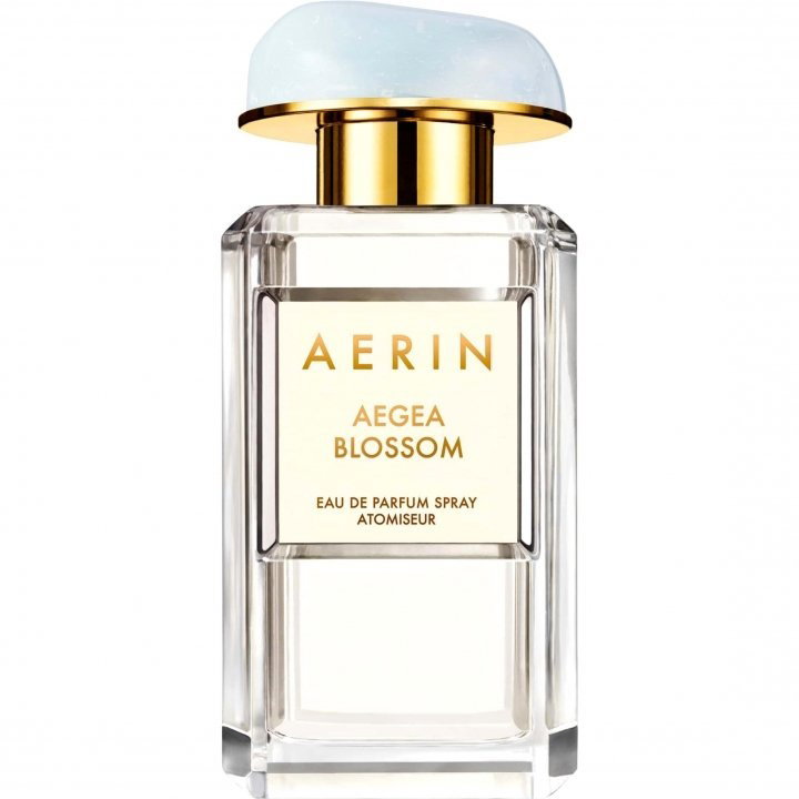 Aerin Aegea Blossom