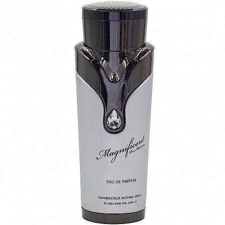 Armaf Magnificent Pour Homme - фото 1