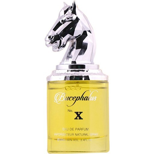 Niche Bucephalus No IX - фото 1
