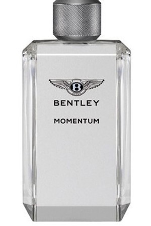 Momentum