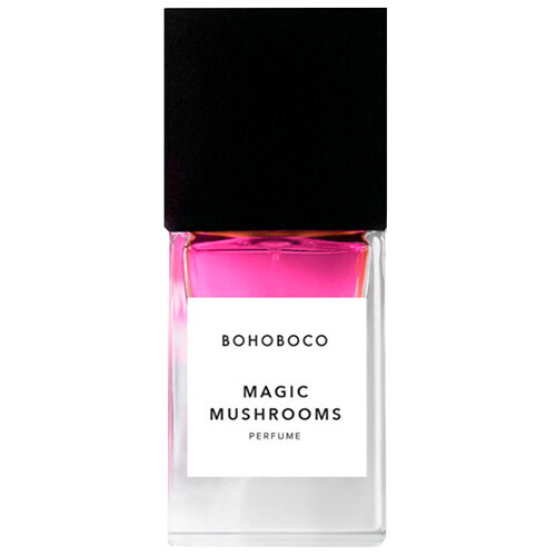 Magic Mushrooms