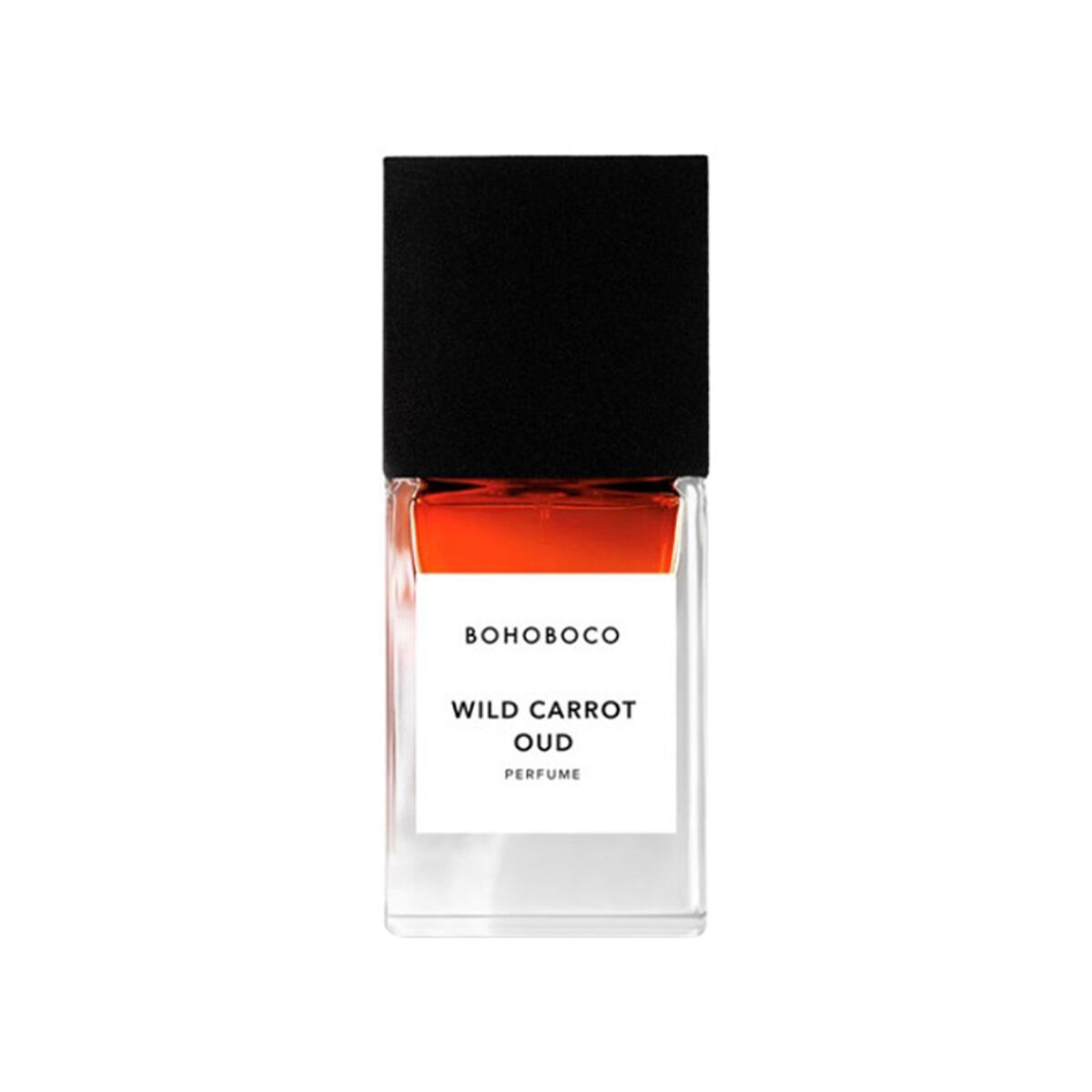 Wild Carrot Oud