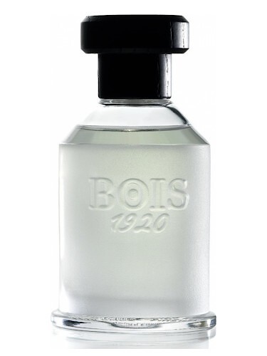 Bois 1920 Ancora Amore Youth