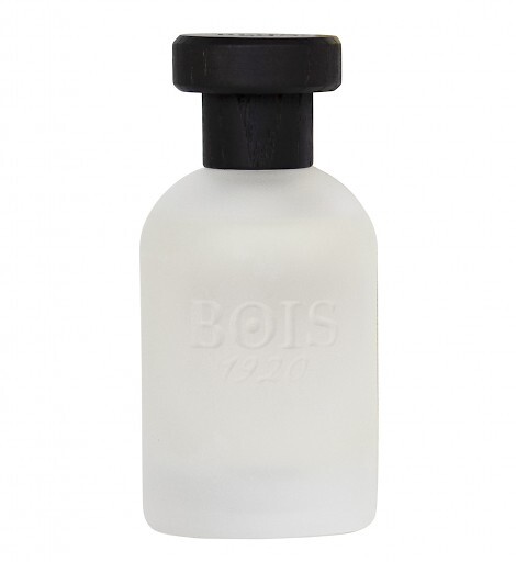 Bois 1920 Art1920