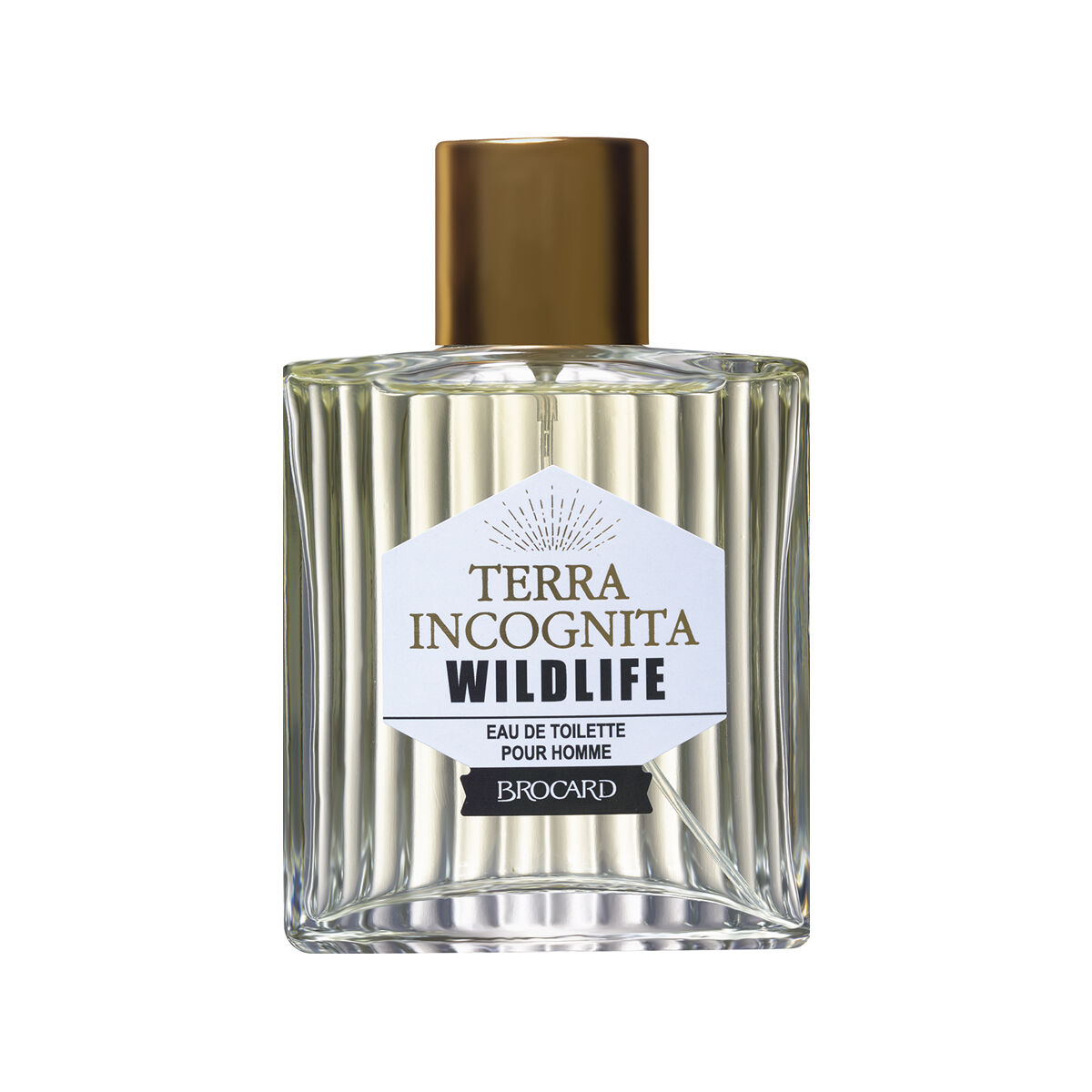 Terra Incognita Wildlife