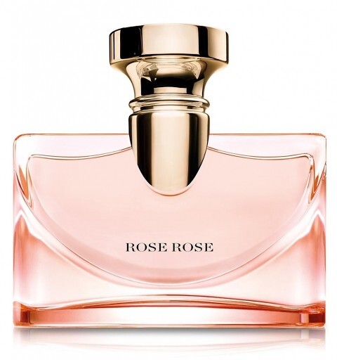 Splendida Rose Rose