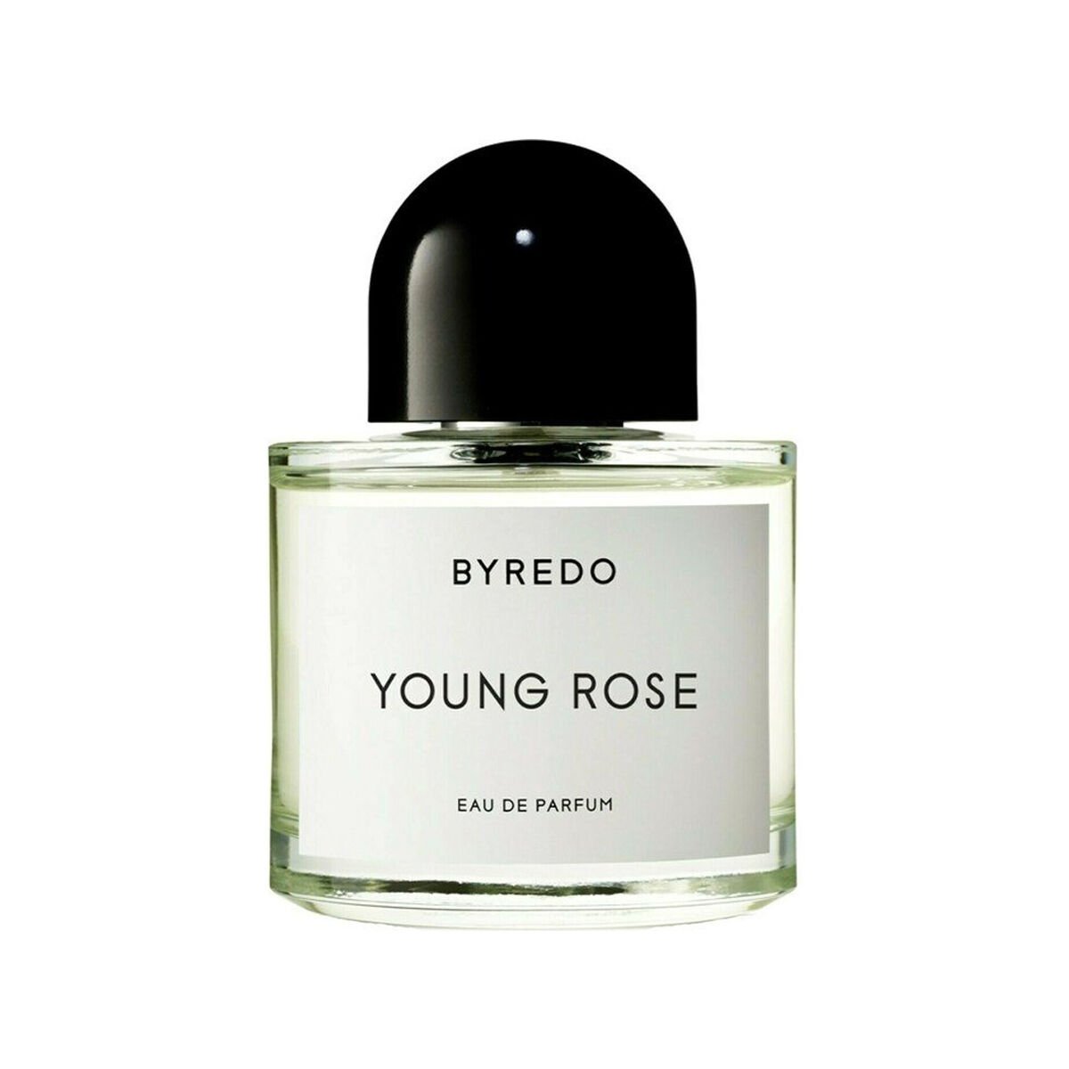 Young Rose