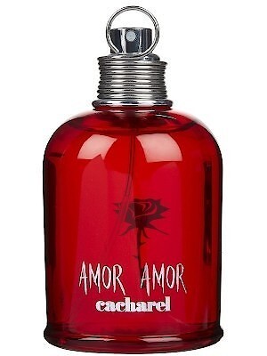 Amor Amor