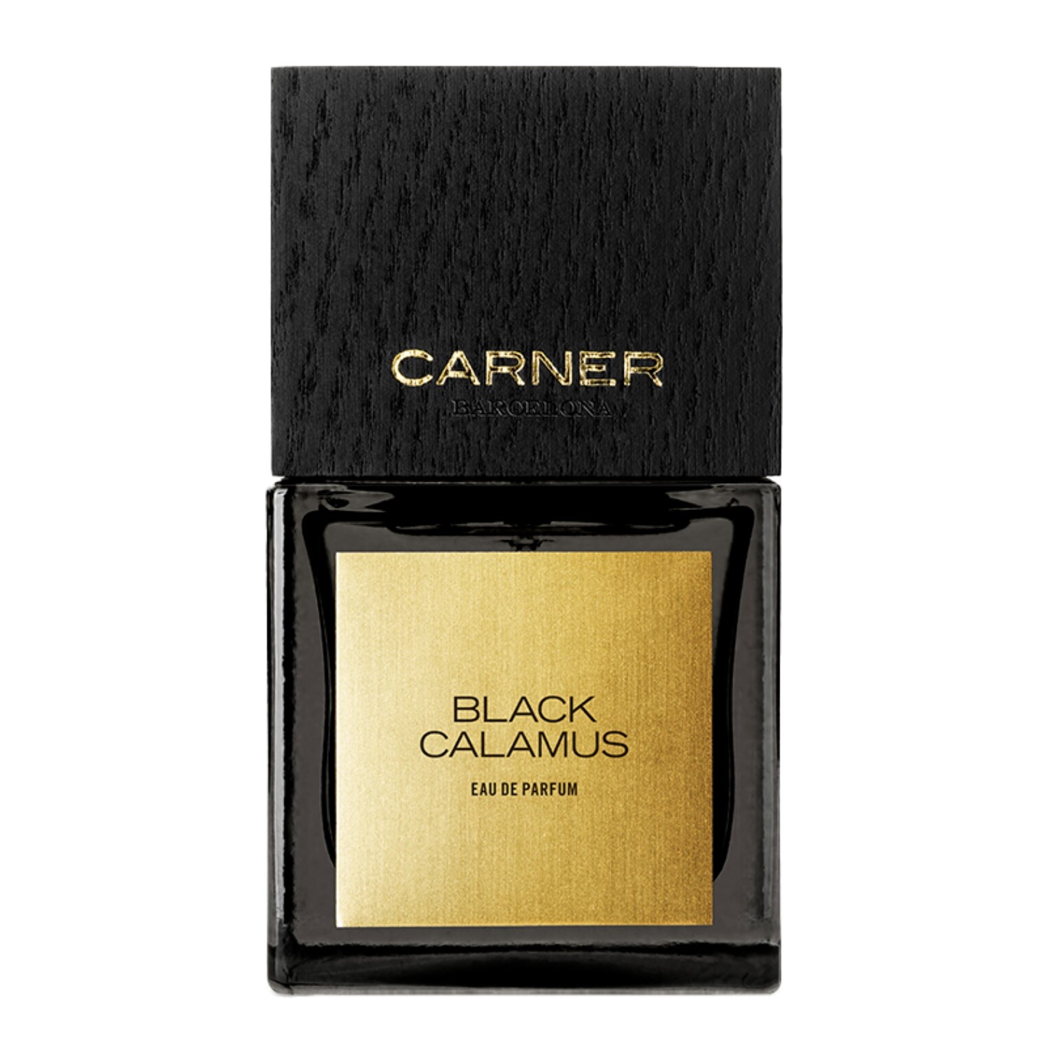 Black Calamus