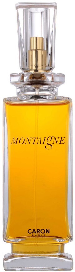 Montaigne 2018 - фото 1