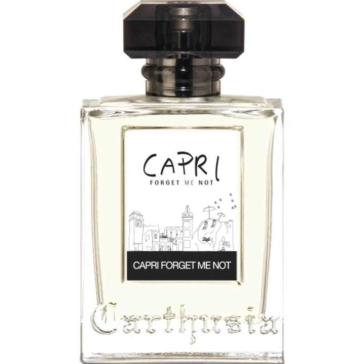 Carthusia Capri Forget Me Not
