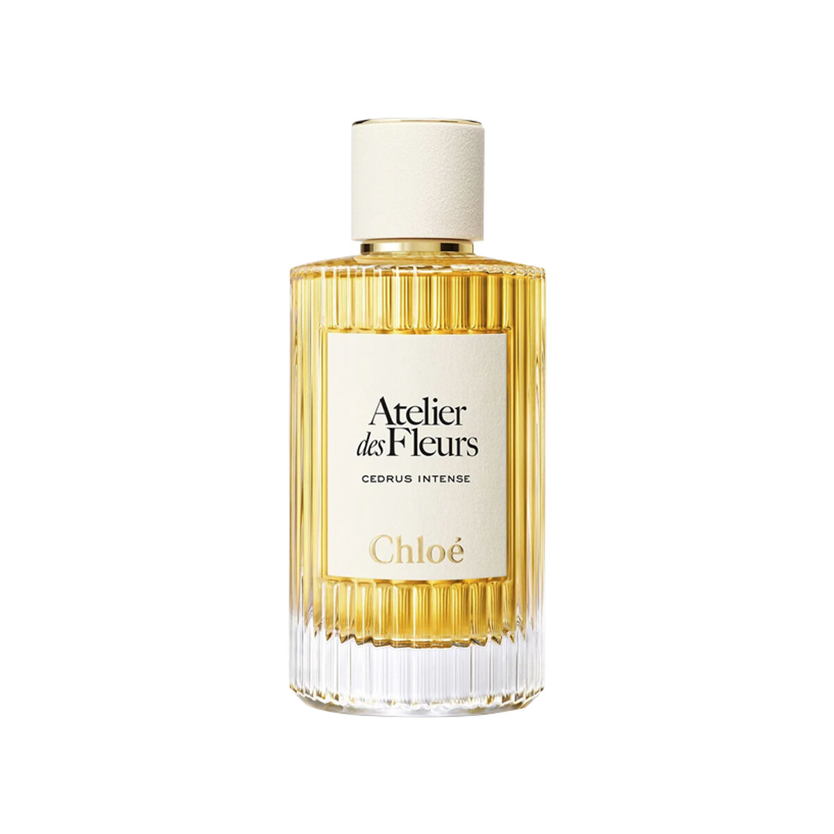 Chloe Cedrus Intense