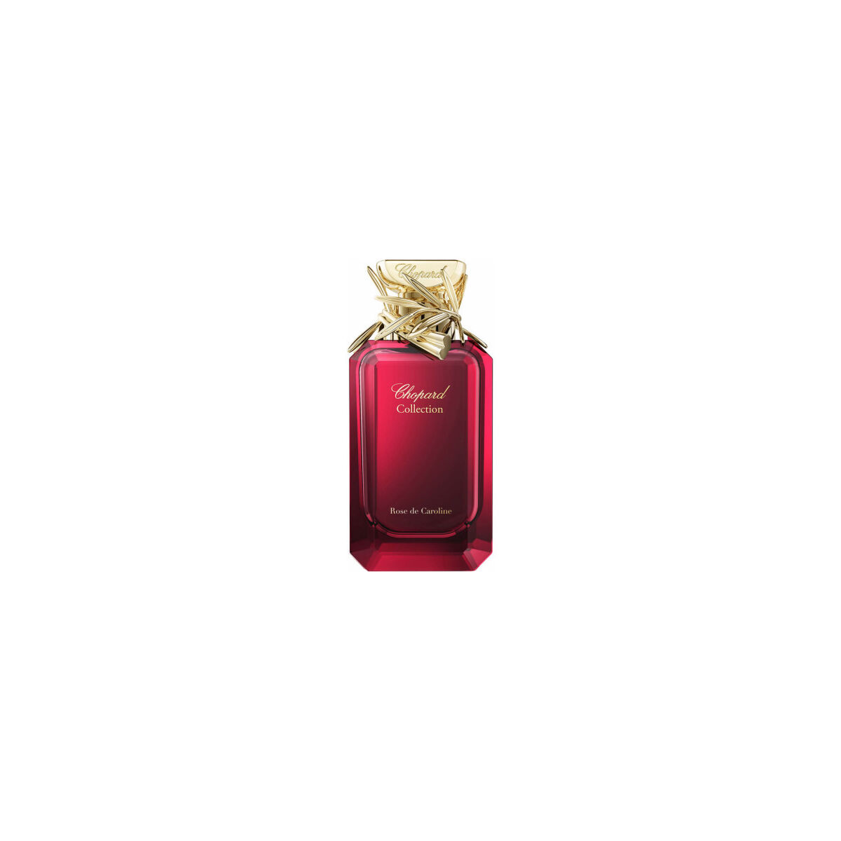 Rose de Caroline