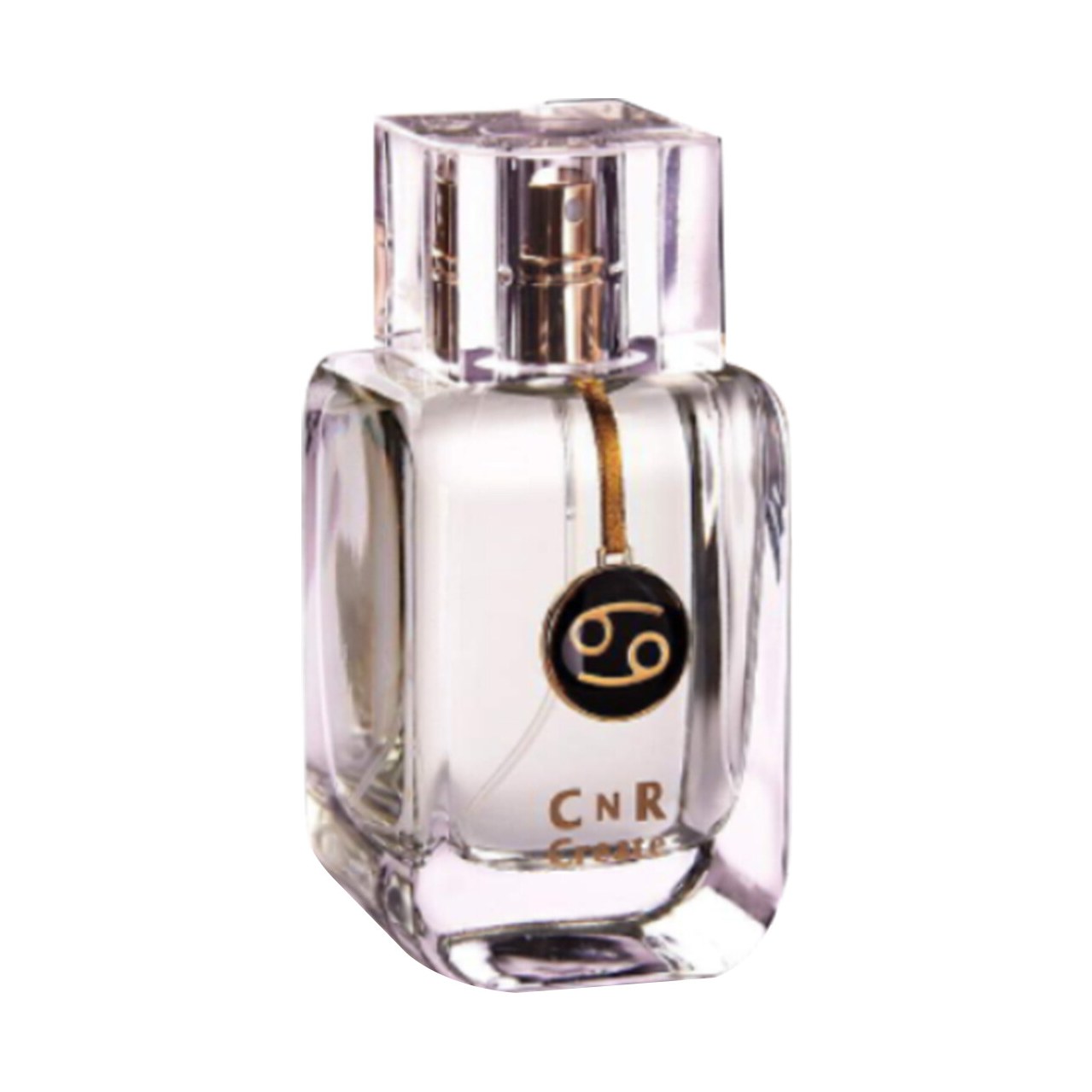 Cnr Create Cancer for Men