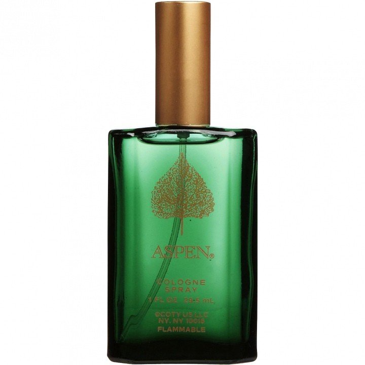Coty Aspen For Men