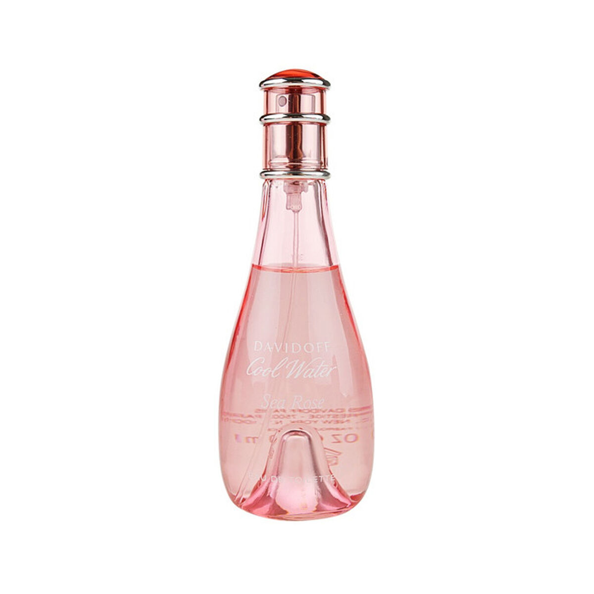 Cool Water Sea Rose