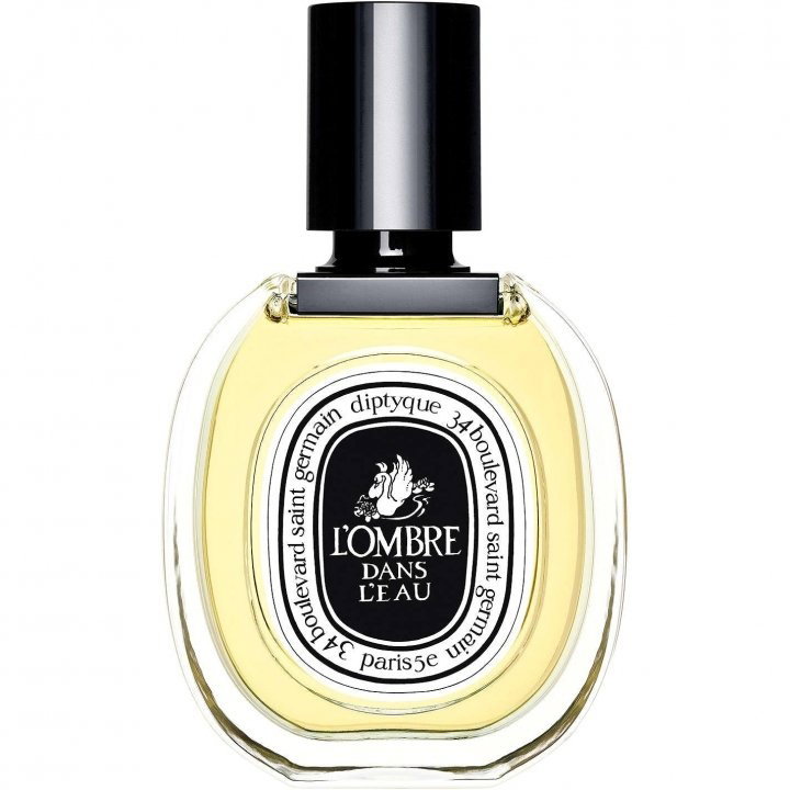 L Ombre Dans L Eau