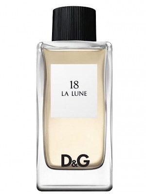 Dolce & Gabbana D and G Masculine