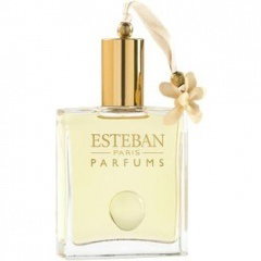 Esteban Angelic Flower
