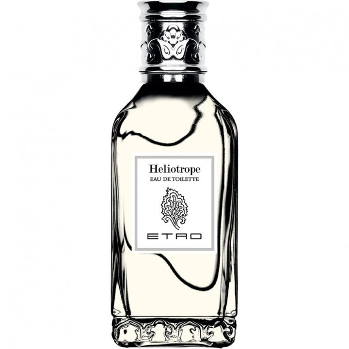 Etro Heliotrope