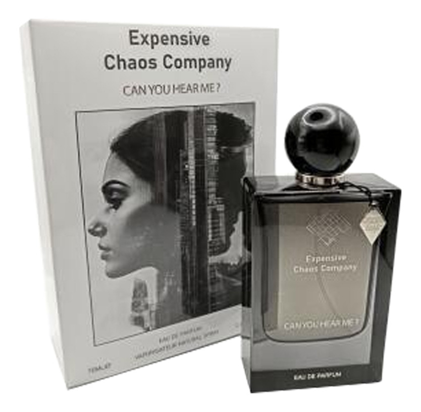 Expensive Chaos Company Can You Hear Me — фото 2 из 2