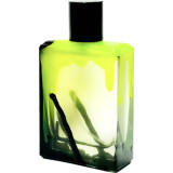 Ascetic Vanilla - фото 1