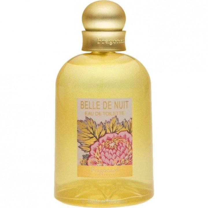 Belle de Nuit Parfum