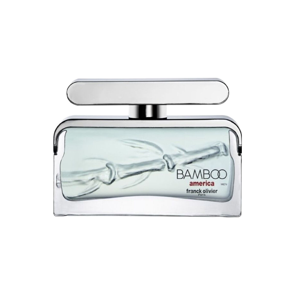 Olivier Bamboo America