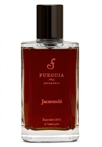 Jacaranda