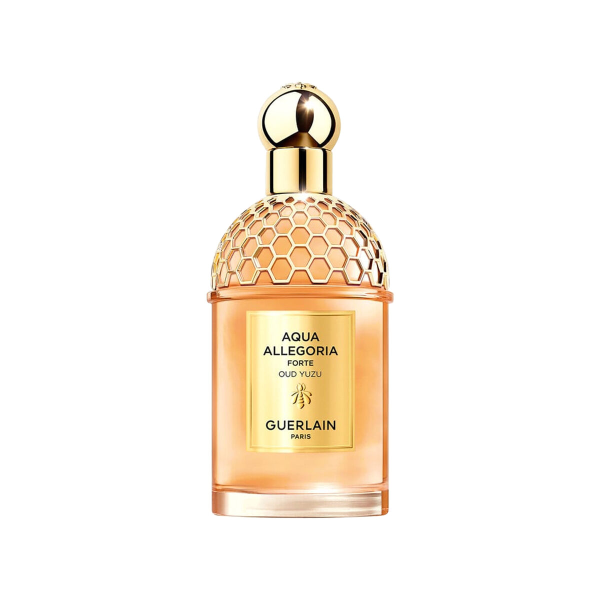 Aqua Allegoria Forte Oud Yuzu
