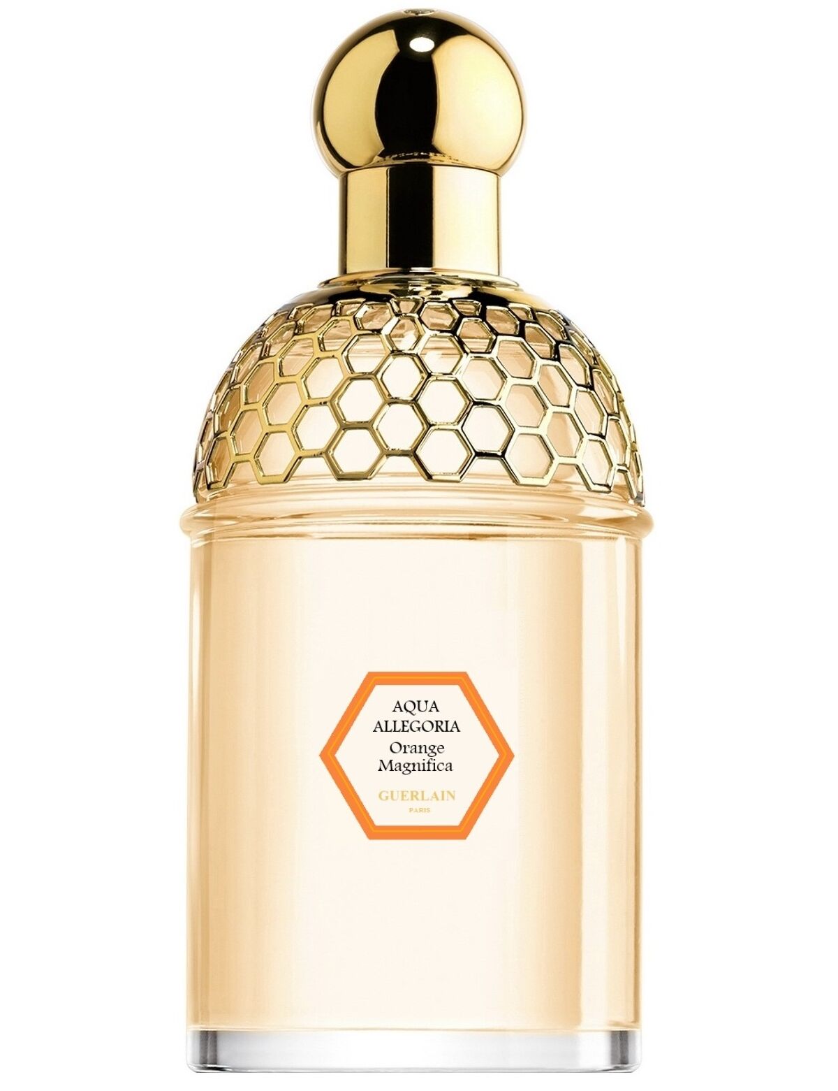 Aqua Allegoria Orange Magnifica