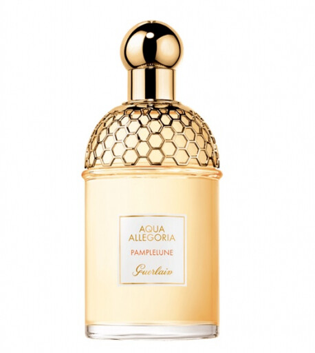 Aqua Allegoria Pamplelune