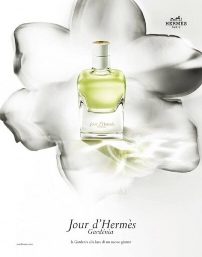 Jour d Hermes Gardenia