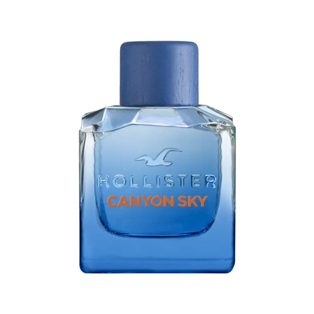 Hollister Canyon Sky For Him