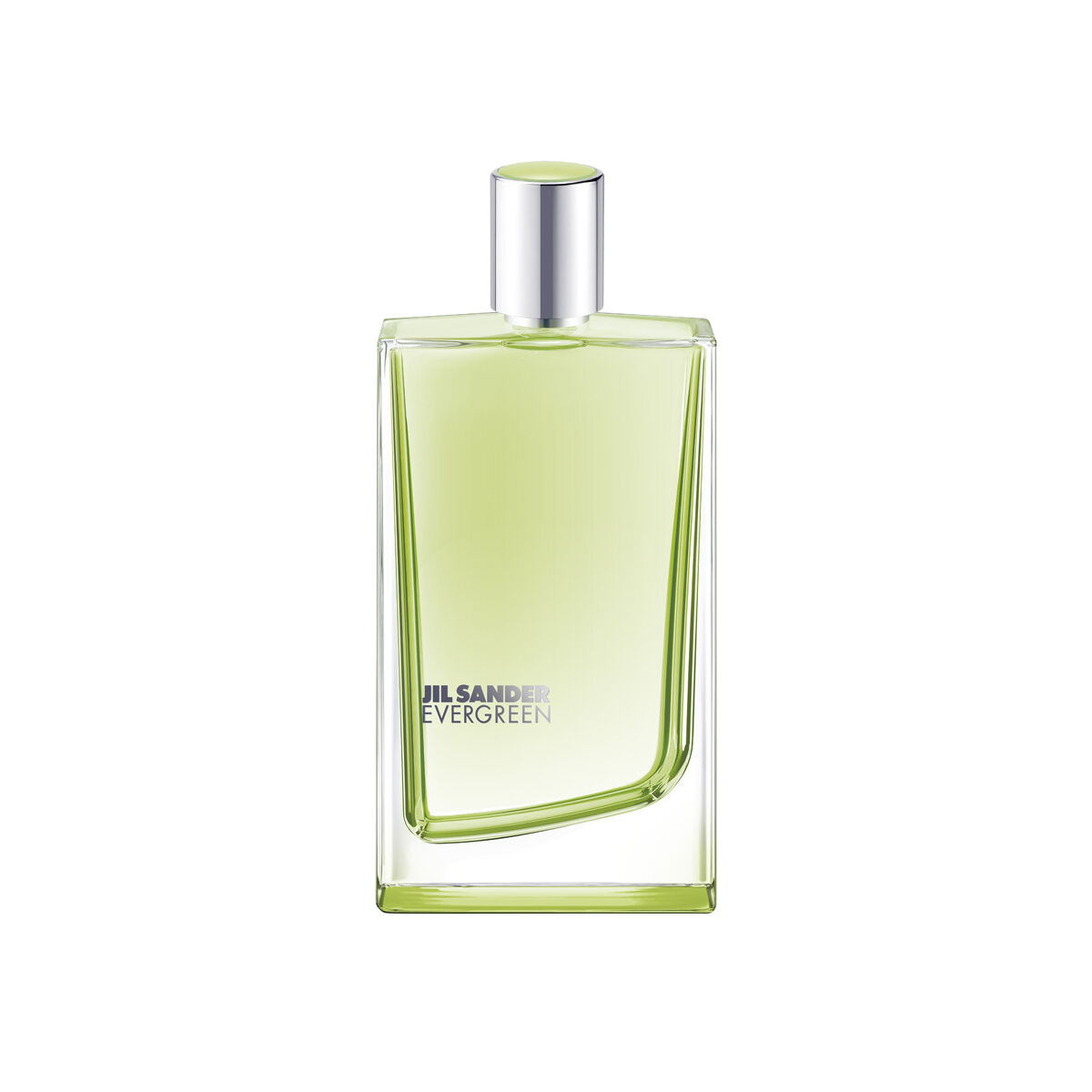 Jil Sander Evergreen