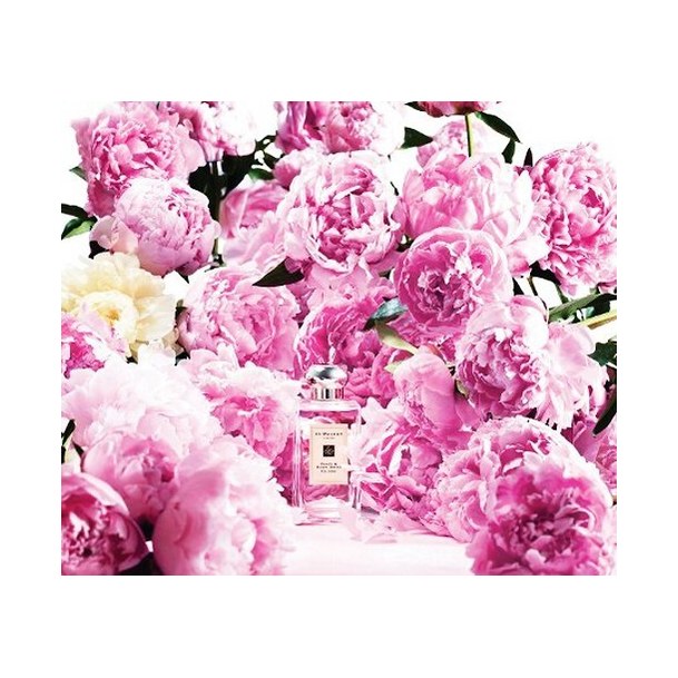 Jo Malone Peony Blush Suede — набор ((од + од) 100 + 9 мл)