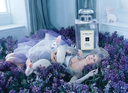 Jo Malone Wild Bluebell — набор ((од + од) 30 + 9 мл)