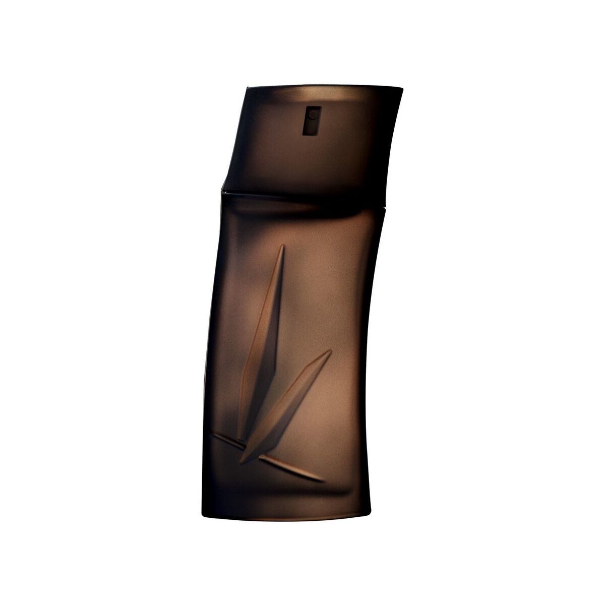 Kenzo Homme Boisee