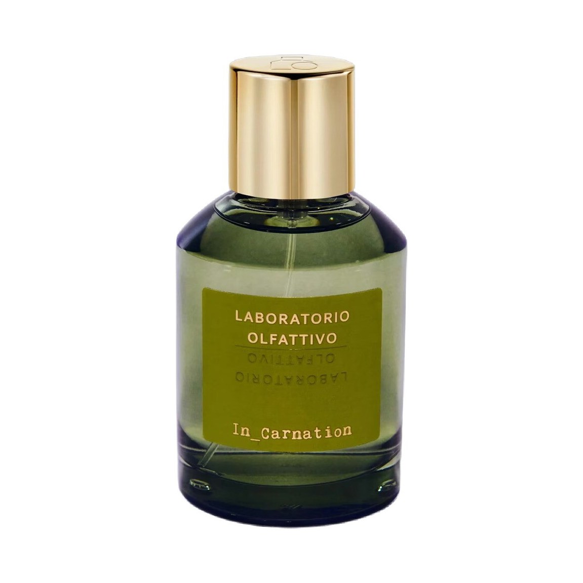 Laboratorio Olfattivo In Carnation
