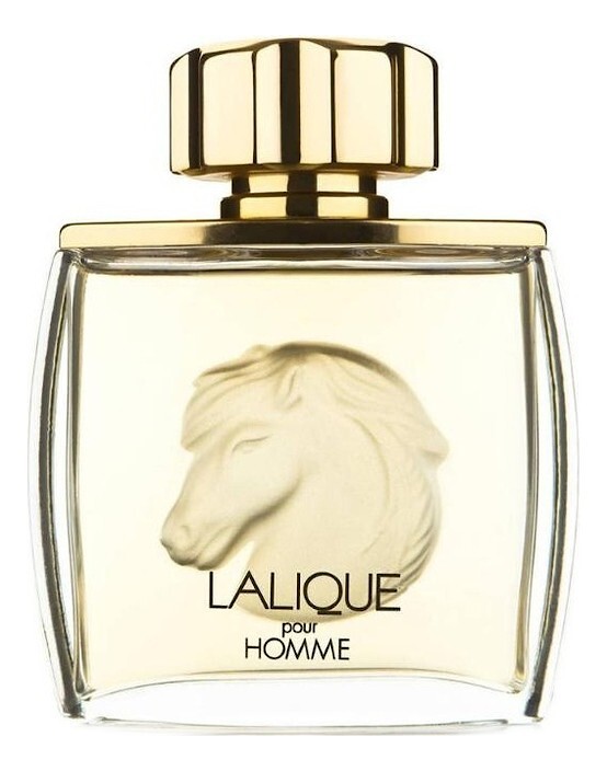 Pour Homme Equus