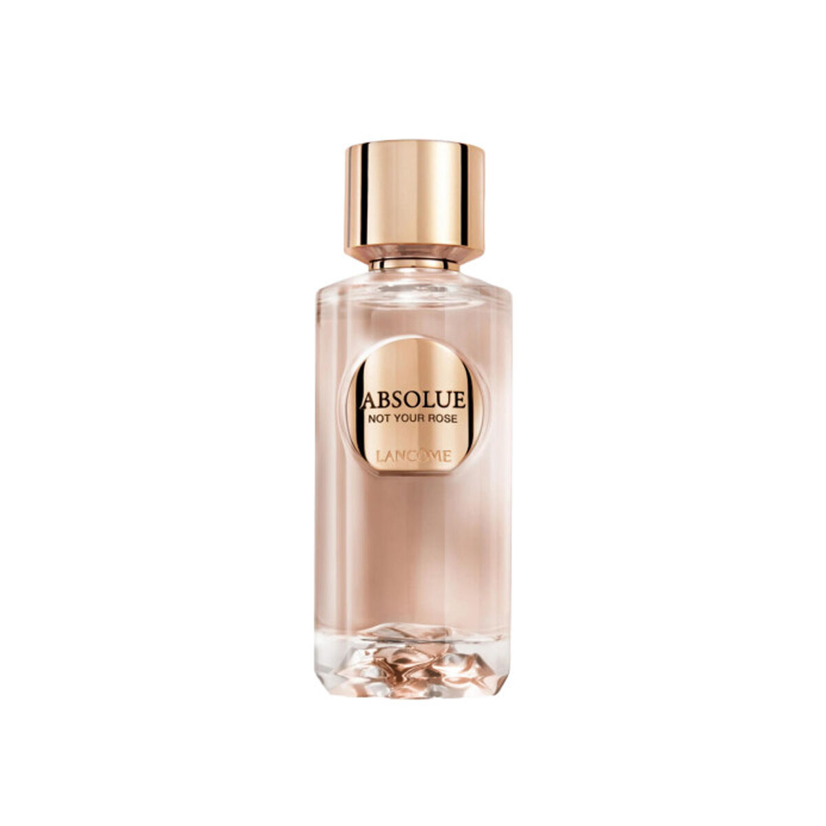Absolue Not Your Rose