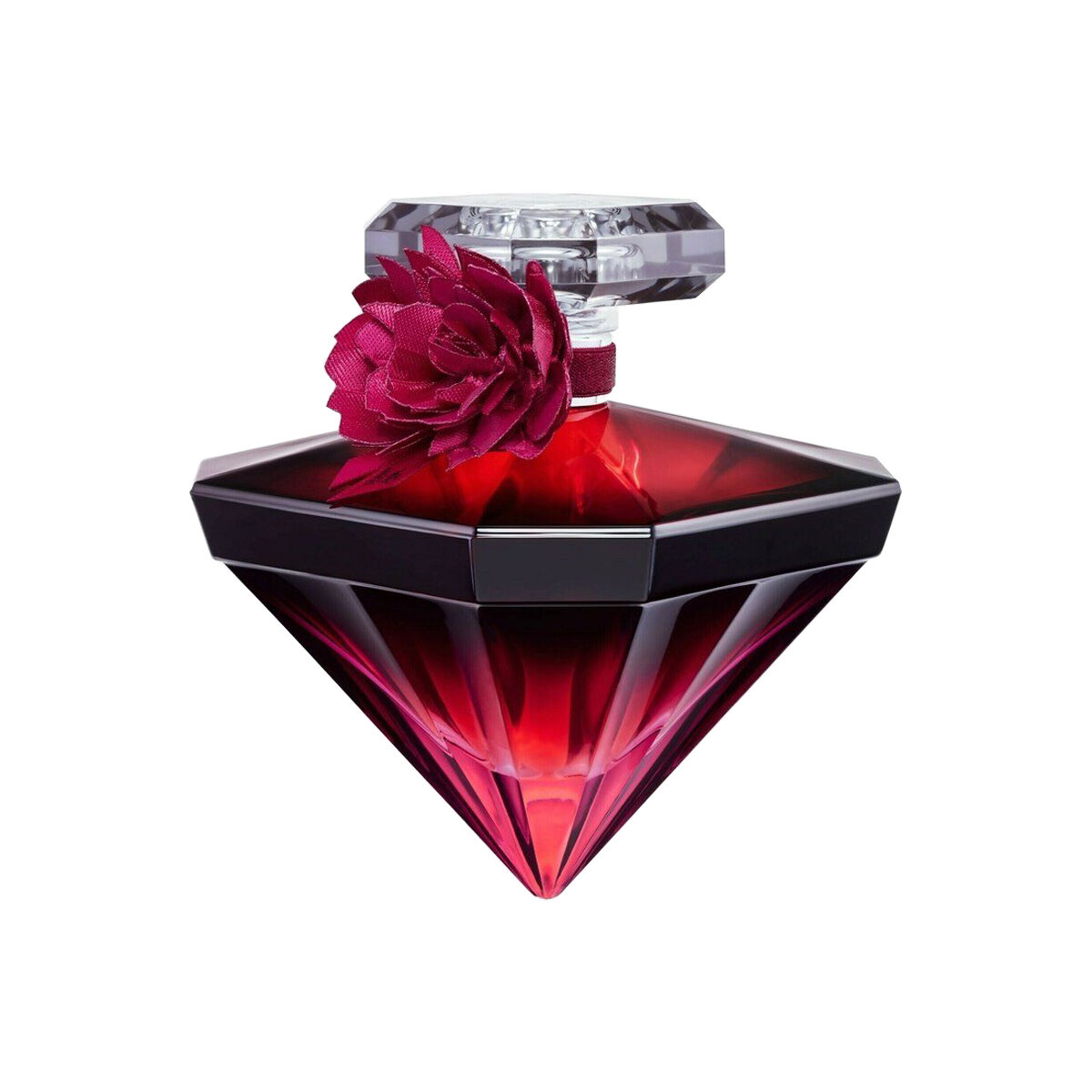 La Nuit Tresor Intense