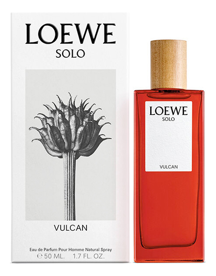 Loewe Solo Vulcan — фото 2 из 2