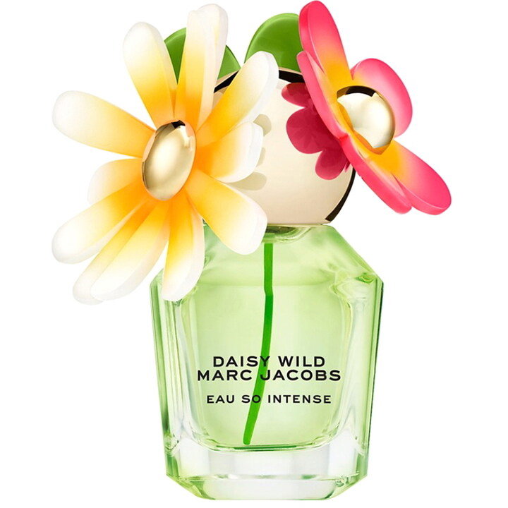 Daisy Wild