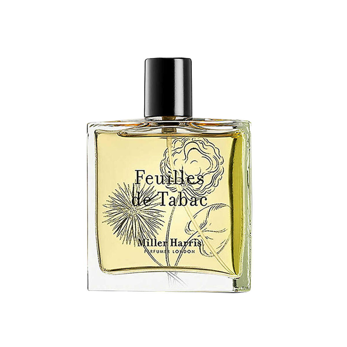 Feuilles de Tabac
