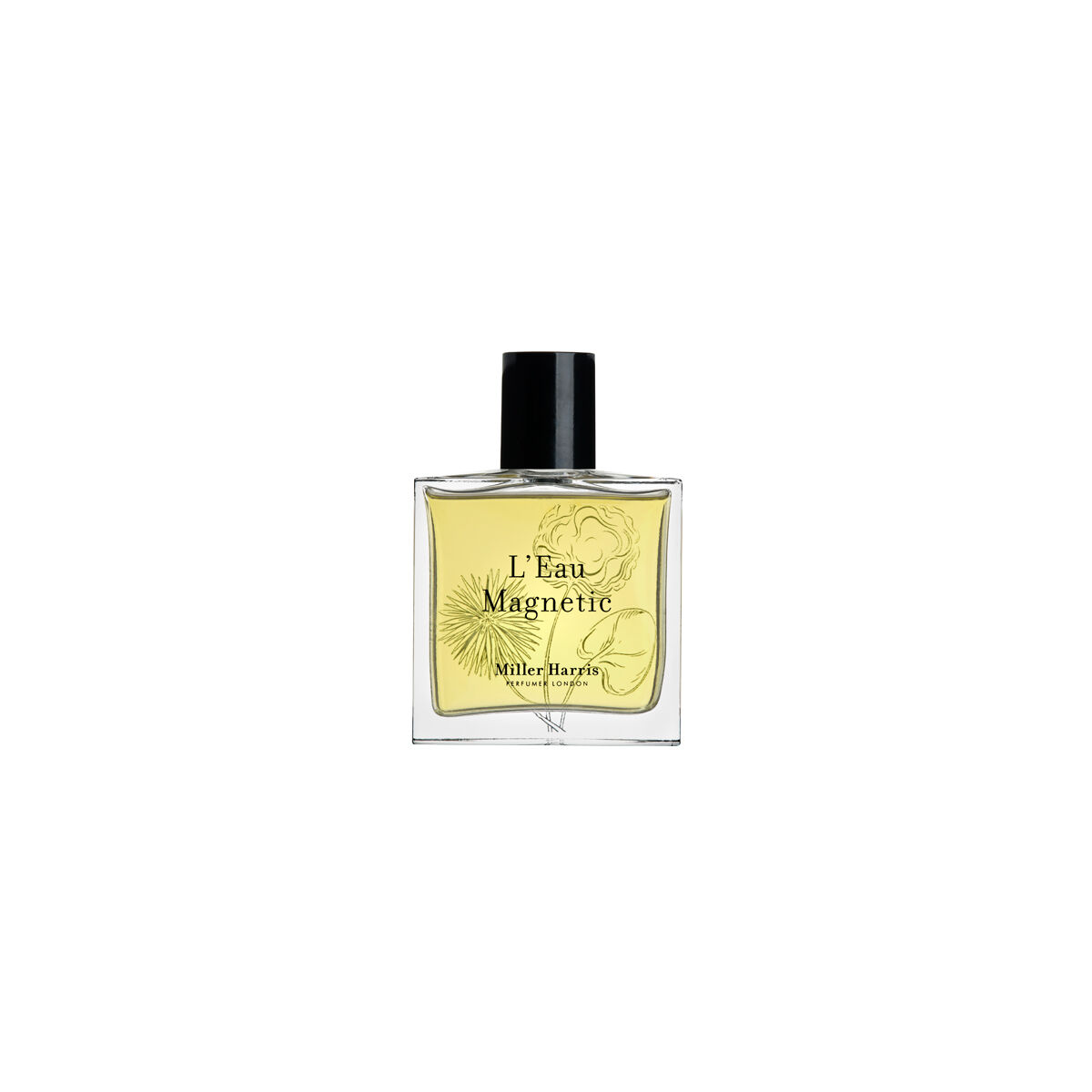 L Eau Magnetic