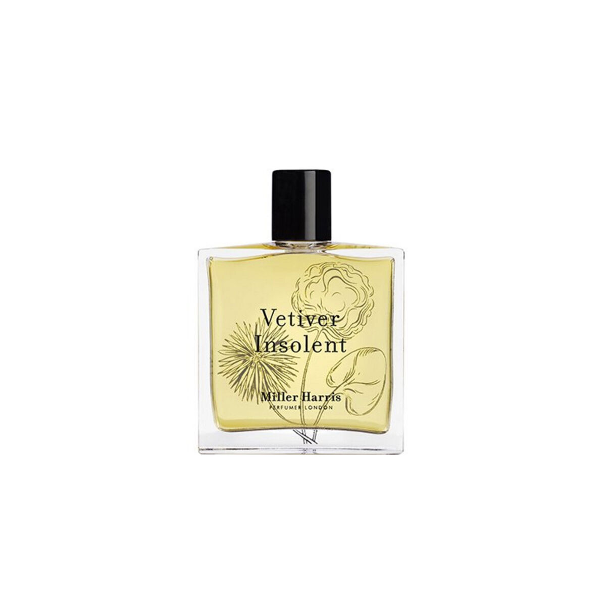 Vetiver Insolent