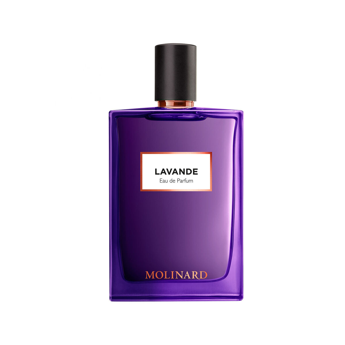 Lavande