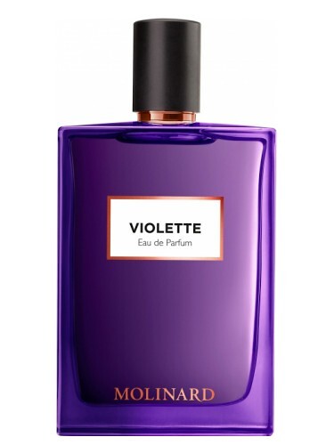 Vetiver - фото 1